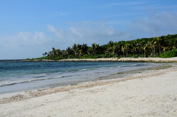 Tropical beach with white sand and the palm trees in Riviera Maya, Mexico
