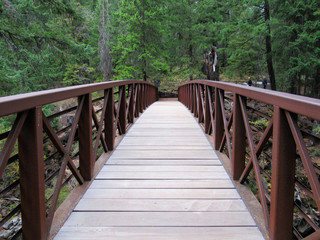 Fototapeta na wymiar Bridge over a river leading to forest trail