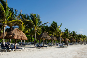 Obraz na płótnie Canvas Tropical beach with white sand and the palm trees in Riviera Maya, Mexico 