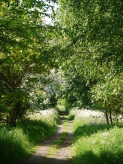 Countryside path