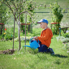 European boy is watering blooming tree in the garden, helping it to grow and flourish. © Artem