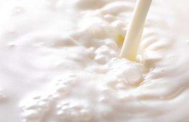 Steam of Milk Being Poured in a Bowl Milk