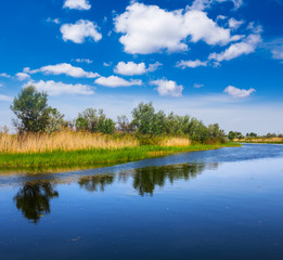 beautiful quiet summer river landscape