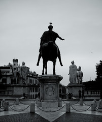 Obraz premium seagull on the head of a sculpture