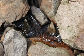 the river flows through a rocky pass, the water of a stream