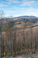 beautiful snowy landscape