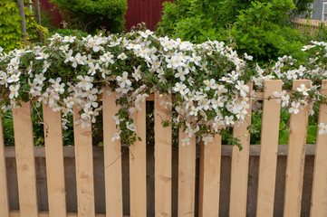 Fence Cover