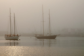 Foggy Reflection