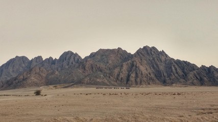 Deserto del sinai