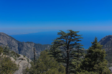 the sea, pine forest and mountains-it's the Lycian way