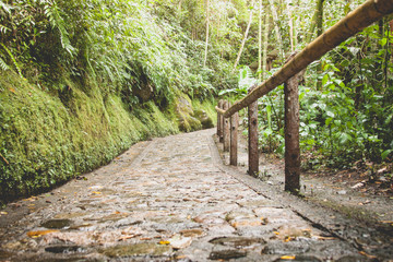 bajando el sendero 