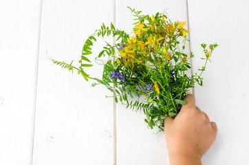 Child's hand with bright wild flowers
