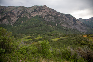 Wasatch Mountain Meadow