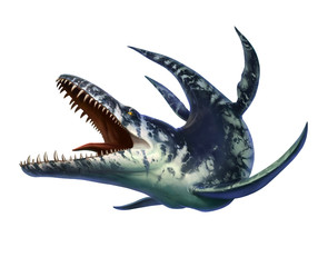 Kronosaurus was a marine reptile that lived in the ocean during the early Cretaceous period when dinosaurs It is a type of pliosaur. 