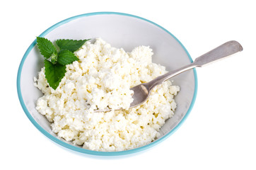 Homemade cottage cheese with mint leaves