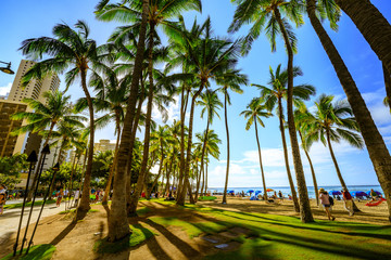 Fototapeta premium Oahu Waikiki Beach, Honolulu