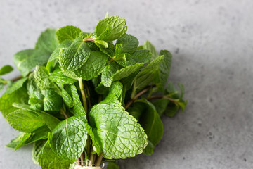 Mint. Bunch of fresh green organic mint, spearmint, peppermint leaves. Selective focus. Copy space.