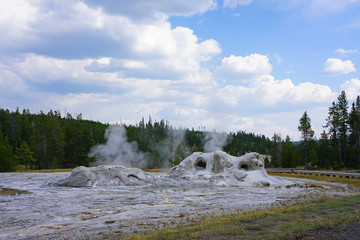 View of the oddly-shaped Grotto Geyser in the Upper Geyser Basin in Yellowstone National Park,...