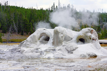 View of the oddly-shaped Grotto Geyser in the Upper Geyser Basin in Yellowstone National Park,...