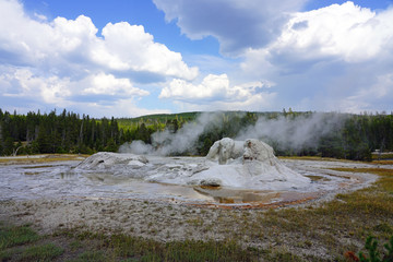 View of the oddly-shaped Grotto Geyser in the Upper Geyser Basin in Yellowstone National Park, United States