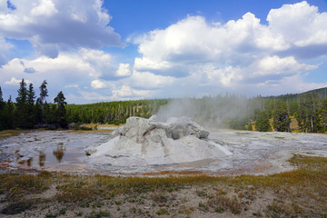 View of the oddly-shaped Grotto Geyser in the Upper Geyser Basin in Yellowstone National Park, United States