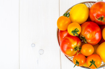 Different in color and size of tomatoes