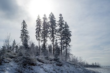 winter in polish mountains