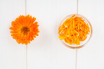 Medicinal herb. Flowers and petal Calendula officinalis on white wooden background