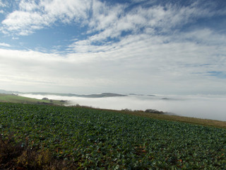 Nebelmeer über Trier