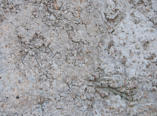 Texture and background of concrete closeup.