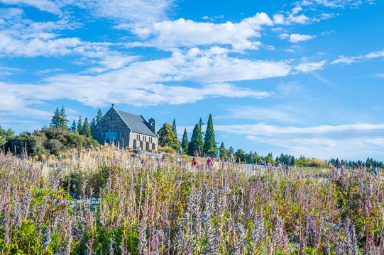 6 Best サザンアルプス Images Stock Photos Vectors Adobe Stock