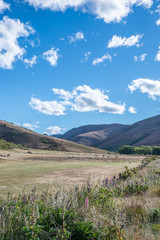 Obraz premium 広大なニュージーランドの風景