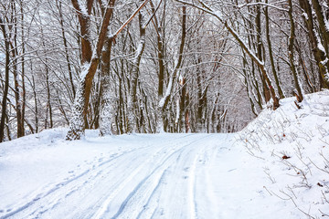Silence on a winter road in the forest.