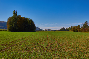 Landschaft bei der Gemeinde Witterswil (Solothurn / Schweiz)