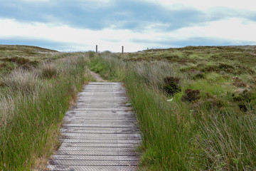 Fototapeta na wymiar wooden path to the sea