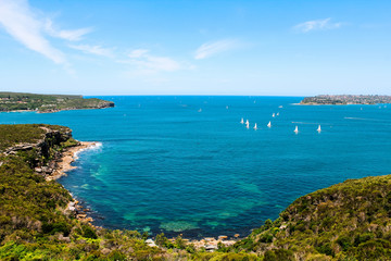 Manly Beach coastal walk with view on Watson Bay in Sydney with yacht sailing and azure clear water in summer (Sydney, Australia)