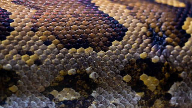Texture peau d'un serpent python