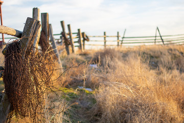 Old Fence and Barbed Wire