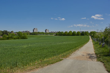 Römische Ruinen in Kaiseraugst	