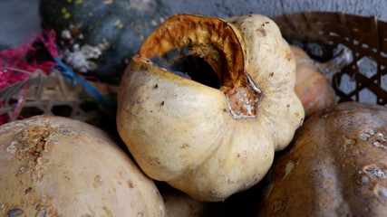 rotten pumpkin