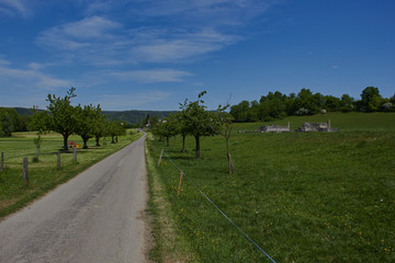 Obraz premium Römische Ruinen in Kaiseraugst