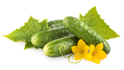 Cucumbers