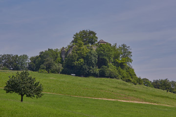 Obraz premium Ruine Burg Neu- Schauendorf (Frenkendorf)