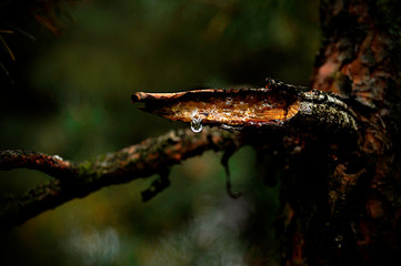 Appearances might be deceiving