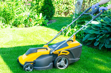 Care of garden. Lawn mowing with lawn mower