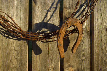 Barbed Wire and Horseshoe