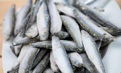 Bunch of frozen sprat fish