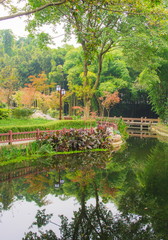 Fototapeta premium Landscapes of chinese park. Chengdu city. China.
