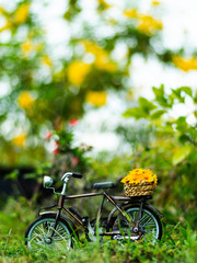 Fototapeta na wymiar bicycle toy with yellow daisy flower in park green filed background 