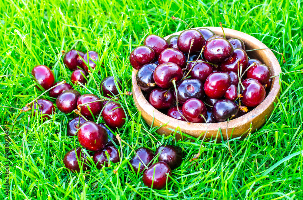 Wall mural ripe cherry on background of green grass